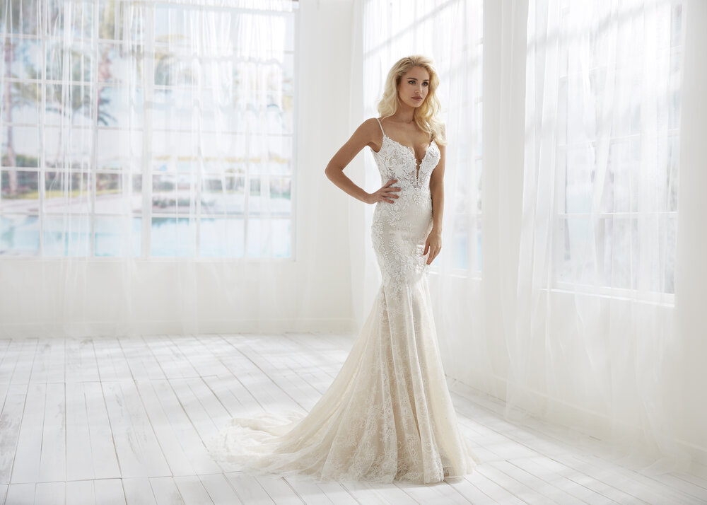 Randy Fenoli