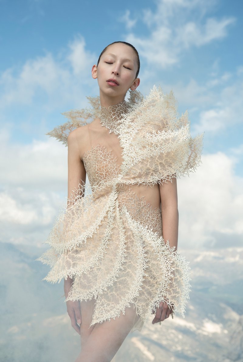 Iris van Herpen 艾里斯·范·荷本